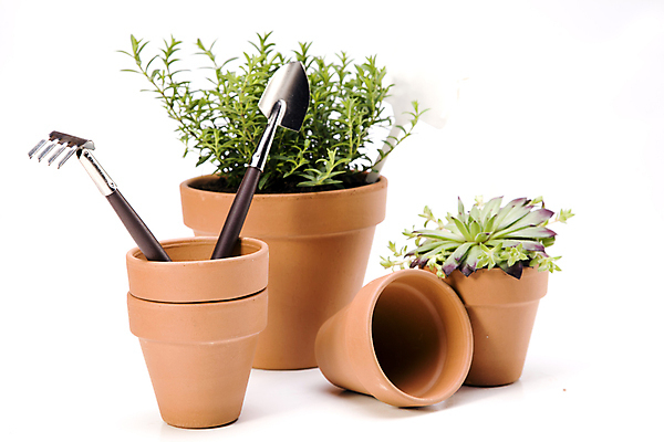 포토 JPG 해외이미지 식물 꽃 지구 백그라운드 컨셉 잎 부츠 통 사람없음 초록색 여름 환경 정원 성장 공구 캔 보호 냄비 삽 시작 원예 먼지 갈퀴 개발 고립 돌봄 모종 생태학 심기 세련 해외202004 해외포토 계절 교육 컬러 신발 모션 취미 도구 솥 파일형식 이미지허브