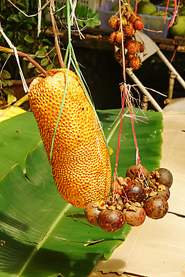 포토 JPG 해외이미지 아시아 음식 여행 과일 비즈니스 휴가 거리 사람없음 관광지 거래 신선 도시 시장 타운 말레이시아 길거리음식 해외202004 해외포토 나라 파일형식 이미지허브