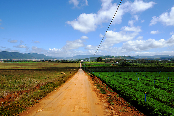 포토 JPG 해외이미지 식물 꽃 아시아 꽃무늬 밭 농업 채소 하늘 산 주택 파노라마 동양인 풍경 사람없음 초록색 농작물 농장 농경지 정원 흙 봄 시골 농부 언덕 조경 베트남 장면 지역 밭일 해외202004 해외포토 직업 계절 나라 산업 컬러 무늬 촬영기법 인종 건물 동남아시아 파일형식 이미지허브
