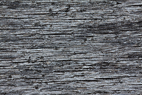 포토 JPG 해외이미지 디자인 벽 가구 백그라운드 패턴 자연 표면 추상 바닥 사람없음 목재 장식 울타리 어둠 줄무늬 공백 수확 판넬 얼룩 거친 그룹 널 낟알 책상 질감 복고 목공예 결 잡동사니 내추럴 그런지 수목 옛날 해외202004 해외포토 나무 생활용품 무늬 농업 재료 담장 공예 생태계 파일형식 이미지허브