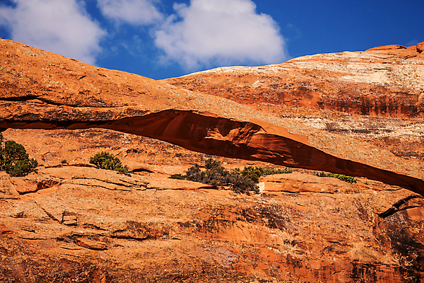 포토 JPG 해외이미지 공원 여행 백그라운드 오렌지 자연 휴가 산 건조 풍경 사람없음 야외 컬러풀 환경 골짜기 미국 사막 암석 바위 땅 아치 암초 사암 울퉁불퉁 지질학 해외202004 해외포토 공공시설 교육 컬러 북아메리카 과일 돌_바위 생태계 파일형식 이미지허브