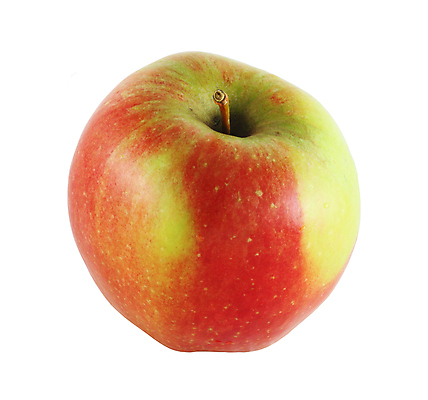 포토 JPG 해외이미지 식물 음식 백그라운드 농업 다이어트 과일 재료 자연 건강 사람없음 빨간색 초록색 노란색 흰색 신선 달콤 사과 상쾌 유기농 날것 내추럴 고립 바이오 숙성 채식주의자 비건 해외202004 해외포토 웰빙 감정 산업 컬러 맛 생태계 채식 파일형식 이미지허브