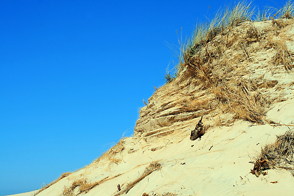 포토 JPG 해외이미지 식물 모래 여행 자연 하늘 날씨 휴가 건조 따뜻함 풍경 경사 사람없음 야외 가로 여름 파란색 모래사장 글로벌 태양 노란색 여행객 환경 사막 뜨거움 모래언덕 언덕 부식 광택 가뭄 폴란드 재앙 파라다이스 현상 해외202004 해외포토 자연요소 계절 유럽 바다 컬러 사람 생태계 파일형식 이미지허브