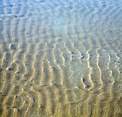 포토 JPG 해외이미지 모래 파도 바다 여행 백그라운드 패턴 자연 벽지 추상 휴가 휴식 풍경 사람없음 야외 물 여름 갈색 노란색 평화 우주 맑음 산책 젖음 사막 자유 메시지 황금 모래언덕 심볼 언덕 질감 모로코 혼자 해외202004 해외포토 자연요소 계절 컬러 컨셉 무늬 아프리카 날씨 생태계 파일형식 이미지허브