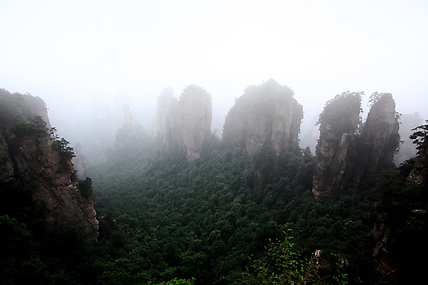 포토 JPG 해외이미지 나무 공원 자연 산 풍경 사람없음 세계 계곡 중국 기둥 도시 재산 숲 심볼 내추럴 뿌연 옛날 전국 해외202004 해외포토 식물 공공시설 건축 아시아 금융 생태계 파일형식 이미지허브