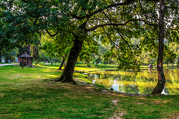 포토 JPG 해외이미지 나무 식물 공원 길 호수 여행 잎 자연 하늘 풍경 사람없음 야외 목재 초록색 물 여름 강 반사 평화 정원 침묵 봄 연못 숲 내추럴 전국 해외202004 해외포토 자연요소 계절 공공시설 컬러 컨셉 재료 소리 생태계 파일형식 이미지허브