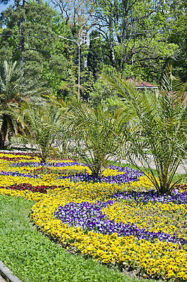 포토 JPG 해외이미지 식물 계절 꽃잎 꽃 줄기 백그라운드 꽃무늬 패턴 오렌지 자연 3 사람없음 야외 초록색 여름 노란색 머리 정원 봄 활발 성장 가을 침대 그룹 선택 큼 제비꽃 화단 큐피드 멀티 비올라 삼색 해외202004 해외포토 컬러 가구 컨셉 무늬 과일 신체부위 크기 생태계 파일형식 찰현악기 이미지허브