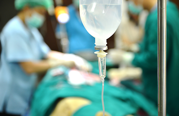 포토 JPG 해외이미지 동물 손 야생동물 장갑 포유류 탁자 건강 병원 사람없음 약 고통 장비 의사 수술 질병 사자 외과 수의사 돌봄 동물상 작동 의료성형뷰티 해외202004 해외포토 잡화 감정 가구 의학 모션 신체부위 치료 조형물 의료진 파일형식 이미지허브