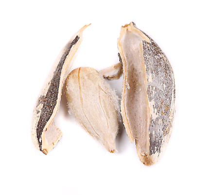 포토 JPG 해외이미지 모양 식물 계절 꽃 음식 백그라운드 농업 다이어트 재료 해바라기 디저트 건강 씨앗 사람없음 농작물 약 견과류 흰색 오픈 시리얼 굽기 먹기 유기농 날것 흙더미 고립 채식주의자 해외202004 해외포토 웰빙 산업 컬러 의학 모션 흙 구이 채식 파일형식 더미 이미지허브