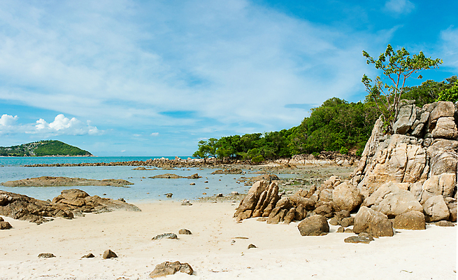 포토 JPG 해외이미지 나무 구름 모래 파도 바다 섬 여행 백그라운드 컨셉 잎 자연 하늘 추상 휴가 휴식 손바닥 사람없음 야외 물 여름 태양 봄 만 서핑 산호 심볼 휴양지 코코넛 세이셸 석호 로스앤젤레스 이국적 해외202004 해외포토 자연요소 식물 손 계절 무늬 과일 아프리카 미국 장소 수상스포츠 자포동물 생태계 파일형식 이미지허브