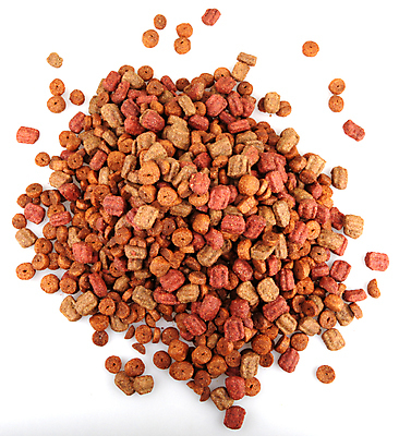 포토 JPG 해외이미지 동물 산업 음식 백그라운드 패턴 공 추상 뼈 건조 건강 육류 사람없음 빨간색 반려동물 컬러풀 갈색 쌓기 쿠키 케이크 식사 저녁식사 고양이 회색 흰색 닫기 개 맛 강아지 먹이 질감 흙더미 송곳니 단백질 칼슘 평야 많음 해외202004 해외포토 컬러 컨셉 무늬 식재료 포유류 모션 자연 디저트 흙 치아 영양소 파일형식 더미 이미지허브