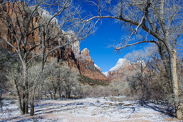 포토 JPG 해외이미지 나무 공원 도로 여행 겨울 오렌지 자연 하늘 휴가 산 풍경 사람없음 야외 빨간색 파란색 강 여행객 골짜기 계곡 얼음 미국 하이킹 사막 추위 바위 흰색 황무지 호기심 내추럴 시온산 전국 지질학 해외202004 해외포토 자연요소 식물 계절 공공시설 교육 감정 길 컬러 컨셉 북아메리카 과일 교통시설 레저 사람 돌_바위 생태계 파일형식 이미지허브