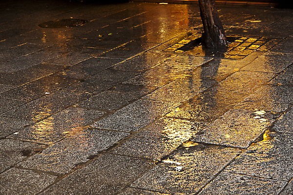 포토 JPG 해외이미지 나무 백그라운드 패턴 거리 사람없음 물 빛 반사 노란색 젖음 바위 스페인 황금 도심 빗방울 타일 마드리드 옛날 해외202004 해외포토 자연요소 식물 유럽 컬러 무늬 돌_바위 도시 비_날씨 파일형식 이미지허브