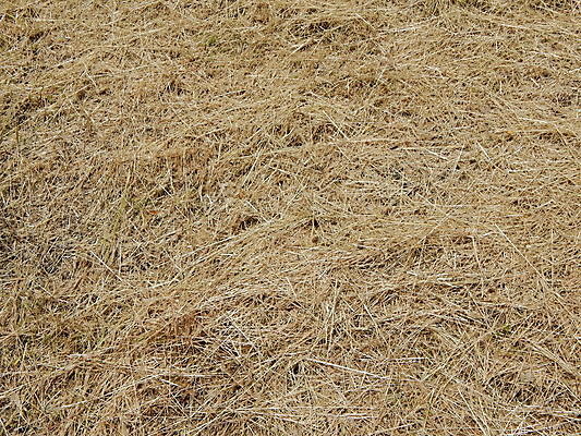 포토 JPG 해외이미지 디자인 백그라운드 패턴 자연 탁자 표면 추상 바닥 사람없음 목재 갈색 판넬 널 낟알 질감 수목 옛날 파케트 해외202004 해외포토 나무 컬러 가구 무늬 재료 생태계 파일형식 이미지허브