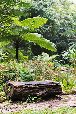 포토 JPG 해외이미지 나무 식물 디자인 공원 가구 백그라운드 잎 벤치 의자 자연 탁자 휴식 산 풍경 잔디 사람없음 야외 목재 초록색 여름 평화 정원 봄 흰색 원형 숲 오브젝트 통나무 내추럴 뒤뜰 수목 스타일 해외202004 해외포토 도형 계절 공공시설 컬러 생활용품 컨셉 재료 생태계 파일형식 이미지허브