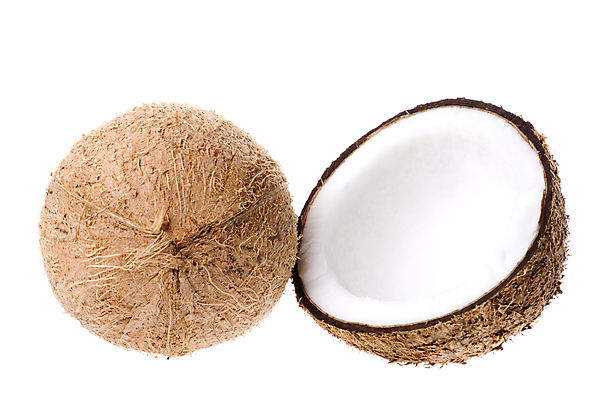 포토 JPG 해외이미지 음식 농업 과일 자연 손바닥 사람없음 견과류 껍질 닫기 먹기 날것 코코넛 내추럴 고립 식용 이국적 해외202004 해외포토 손 산업 모션 생태계 파일형식 이미지허브