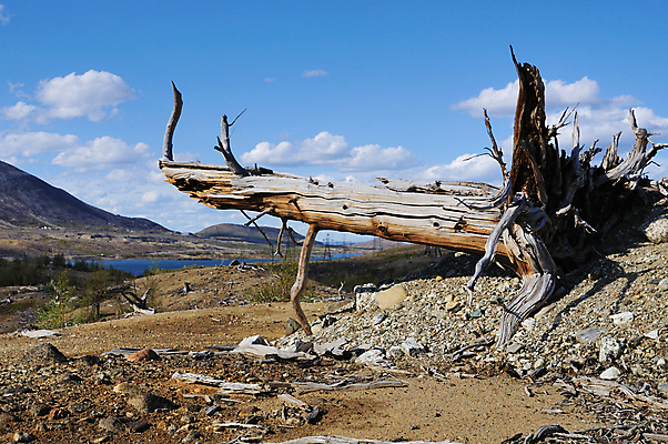 포토 JPG 해외이미지 호수 자연 건조 사람없음 목재 환경 바위 언덕 부식 뿌리 해외202004 해외포토 나무 재료 돌_바위 생태계 파일형식 이미지허브