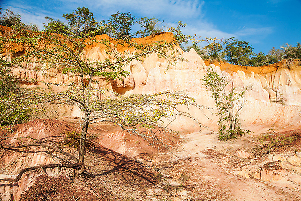 포토 JPG 해외이미지 나무 공원 모래 여행 오렌지 아프리카 자연 하늘 풍경 사람없음 야외 빨간색 파란색 컬러풀 일출 골짜기 일몰 사막 황무지 사파리 부식 사암 케냐 상상력 전국 지질학 해외202004 해외포토 식물 공공시설 교육 나라 컬러 과일 노을 돌_바위 생태계 파일형식 이미지허브