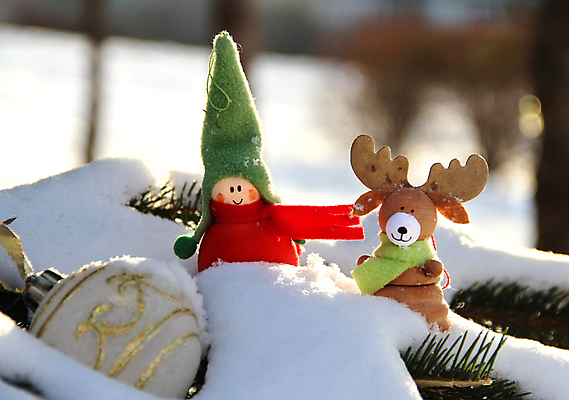 포토 JPG 해외이미지 나무 드레스 옷 어린이 조각 이동 크리스마스장식 크리스마스 겨울 동화 사슴 새로움 웃음 이벤트 소년 사람없음 야외 목재 장식 빨간색 초록색 컬러풀 장난감 우정 눈송이 혼합 숲 작음 연도 장면 구성 엘크 제설기 진실 진짜 캡모자 해외202004 해외포토 식물 모자_잡화 계절 기념일 남자 컬러 컨셉 재료 포유류 눈_날씨 표정 사람 친구 크기 제설 파일형식 이미지허브