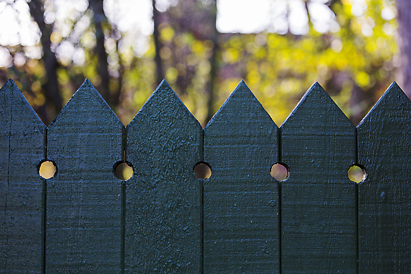 포토 JPG 해외이미지 나무 자연 하늘 덴마크 사람없음 야외 목재 초록색 울타리 햇빛 정상 숲 옛날 카피스페이스 해외202004 해외포토 식물 컬러 재료 북유럽 담장 태양 공백 생태계 파일형식 이미지허브