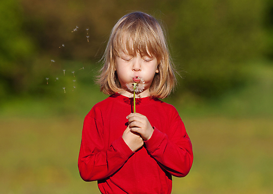 포토 JPG 해외이미지 백인 1 꽃 어린이 밭 한명 서기 사람 소년 봄 잡기 민들레 불기 싱글 타격 해외202004 해외포토 서양인 식물 계절 남자 농업 모션 파일형식 이미지허브
