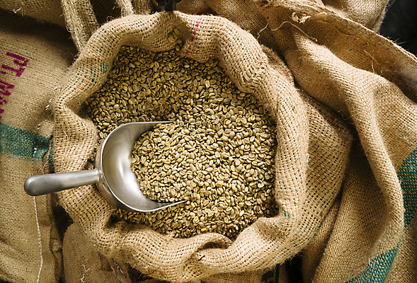 포토 JPG 해외이미지 식물 커피 음료 백그라운드 재료 콩 사람없음 농작물 갈색 쌓기 직물 낟알 상업 자루 향 카페인 해외202004 해외포토 컬러 농업 모션 곡류 파일형식 이미지허브