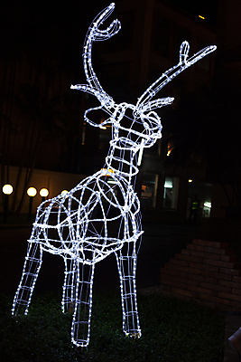포토 JPG 해외이미지 모델 크리스마스 겨울 전구 사슴 풍경 사람없음 야외 장식 빛 노란색 검은색 화환 어둠 회색 도시 야간 철사 타운 야광 광 순록 해외202004 해외포토 자연요소 계절 기념일 꽃 컬러 포유류 파일형식 이미지허브