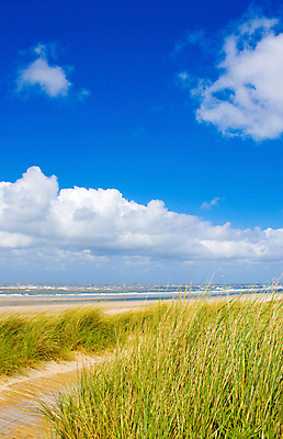 포토 JPG 해외이미지 구름 유럽 모래 바다 섬 여행 자연 하늘 풍경 사람없음 야외 여름 봄 모래언덕 네덜란드 해외202004 해외포토 자연요소 계절 나라 언덕 생태계 파일형식 이미지허브