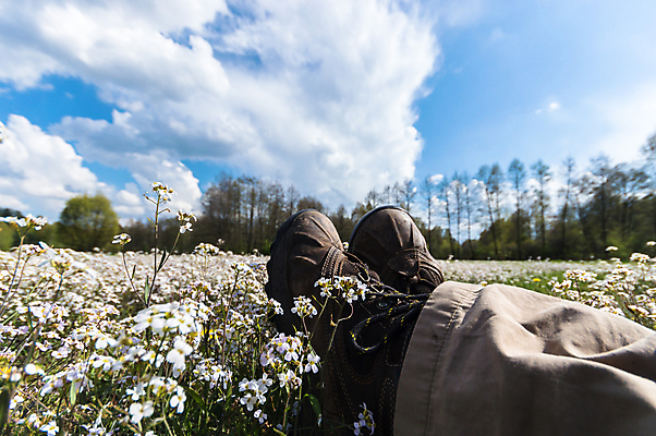 포토 JPG 해외이미지 나무 식물 구름 계절 꽃 백그라운드 잎 밭 농업 자연 하늘 아침 날씨 풍경 잔디 사람없음 야외 초록색 여름 파란색 빛 컬러풀 햇빛 태양 농장 노란색 일출 환경 맑음 일몰 봄 자유 성장 흰색 시골 신선 땅 장면 내추럴 수평선 해외202004 해외포토 주간 자연요소 산업 컬러 컨셉 노을 생태계 파일형식 이미지허브