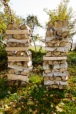 포토 JPG 해외이미지 나무 공원 백그라운드 잎 밭 자연 하늘 불 주택 풍경 사람없음 야외 목재 초록색 파란색 쌓기 환경 정원 에너지 가을 장작 오브젝트 질감 통나무 나무껍질 10월 내추럴 해외202004 해외포토 자연요소 식물 계절 공공시설 컬러 농업 재료 모션 건물 껍질 날짜 생태계 파일형식 이미지허브