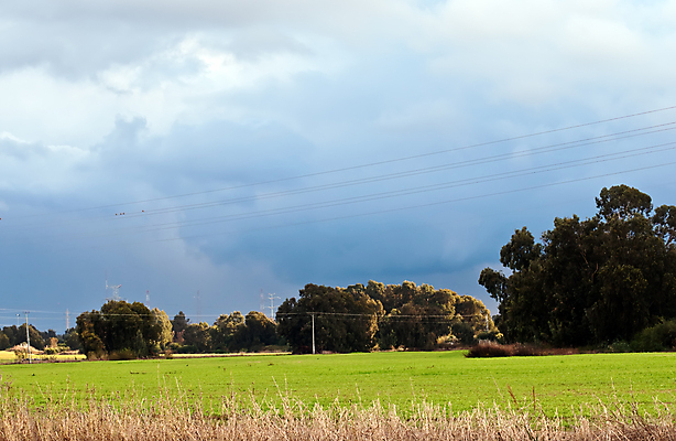 포토 JPG 해외이미지 나무 식물 구름 꽃 지구 여행 밭 농업 자연 하늘 따뜻함 풍경 사람없음 초록색 여름 파란색 농장 노란색 힘 흙 봄 전선 시골 기둥 뜨거움 클래식 숲 지중해 언덕 유기농 올리브 남쪽 교외 밭일 옛날 유칼립투스 이스라엘 줄서기 해외202004 해외포토 자연요소 웰빙 계절 열매 건축 산업 바다 컬러 컨셉 모션 방향 생태계 서아시아 파일형식 이미지허브