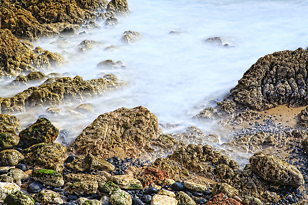 포토 JPG 해외이미지 파도 바다 여행 캐나다 자연 조류 풍경 사람없음 물 파란색 힘 거품 젖음 서핑 떨어짐 대서양 해외202004 해외포토 자연요소 동물 컬러 컨셉 북아메리카 수상스포츠 생태계 파일형식 이미지허브