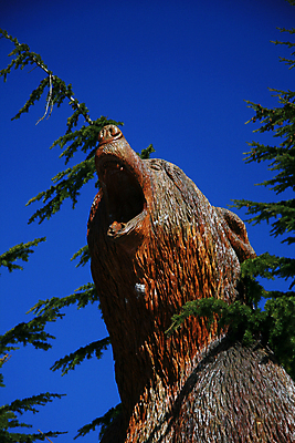 포토 JPG 해외이미지 전통 손 조각 캐나다 곰 스키 영국 산 사람없음 목재 조각상 숫자 갈색 콜롬비아 승합차 언덕 휴양지 북쪽 목각 벤쿠버 서쪽 옛날 해외202004 해외포토 나무 동물 문자 유럽 컬러 북아메리카 재료 포유류 승용차 겨울스포츠 신체부위 조형물 장소 남아메리카 방향 파일형식 이미지허브