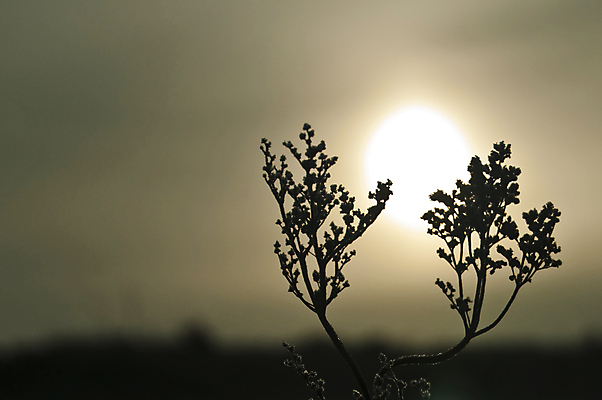 포토 JPG 해외이미지 겨울 사람없음 해외202004 해외포토 계절 파일형식 이미지허브