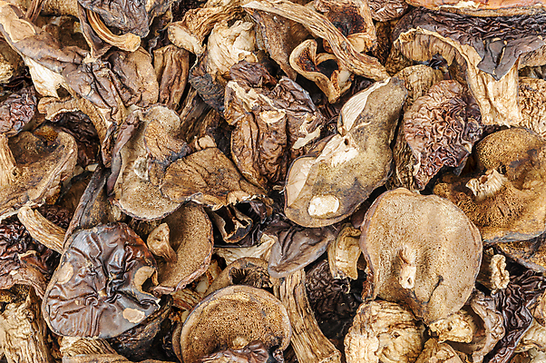 포토 JPG 해외이미지 식물 문화 음식 줄기 백그라운드 패턴 농업 채소 재료 자연 건조 건강 요리 사람없음 갈색 쌓기 버섯 그룹 숲 먹기 허브 향신료 유기농 질감 날것 흙더미 곰팡이 그물버섯 생식 식용 채식주의자 해외202004 해외포토 웰빙 산업 컬러 무늬 모션 흙 생태계 채식 향미료 파일형식 더미 이미지허브