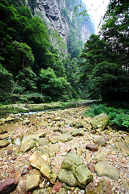 포토 JPG 해외이미지 나무 공원 자연 산 풍경 사람없음 세계 계곡 중국 기둥 도시 재산 숲 심볼 내추럴 뿌연 옛날 전국 해외202004 해외포토 식물 공공시설 건축 아시아 금융 생태계 파일형식 이미지허브