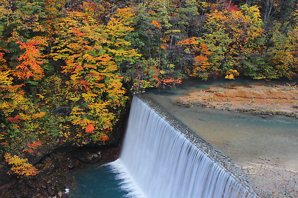 포토 JPG 해외이미지 나무 식물 계절 아시아 단풍 잎 자연 산 풍경 사람없음 야외 목재 강 컬러풀 노란색 일본 가을 개울 숲 수평선 해외202004 해외포토 나라 컬러 재료 생태계 파일형식 이미지허브