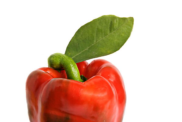 포토 JPG 해외이미지 음식 백그라운드 잎 채소 과일 고추 사람없음 빨간색 초록색 컬러풀 종 흰색 닫기 달콤 후추 고립 영양분 해외202004 해외포토 식물 컬러 모션 맛 향신료 파일형식 이미지허브