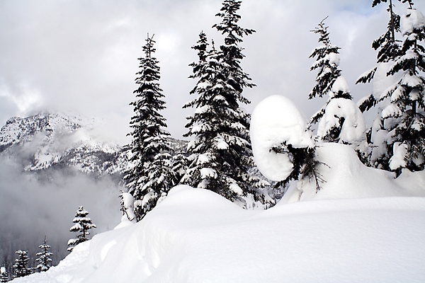 포토 JPG 해외이미지 나무 구름 여행 겨울 산 사람없음 야외 얼음 폭포 안개 상록수 해외202004 해외포토 자연요소 식물 계절 자연 날씨 파일형식 이미지허브