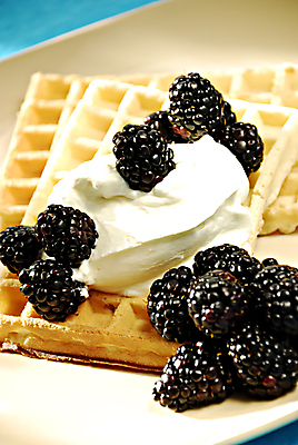 포토 JPG 해외이미지 열매 다이어트 과일 디저트 사람없음 달콤 맛 크림 블루베리 칼로리 푸딩 블랙베리 와플 휘핑크림 해외202004 해외포토 식물 음식 컨셉 건강 휘핑 파일형식 이미지허브