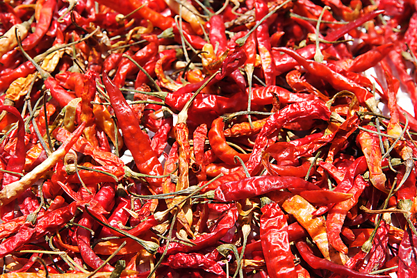 포토 JPG 해외이미지 음식 채소 고추 건조 사람없음 가로 빨간색 컬러풀 뜨거움 양념 유기농 날것 후추 흙더미 숙성 해외202004 해외포토 웰빙 컬러 흙 향신료 파일형식 더미 이미지허브