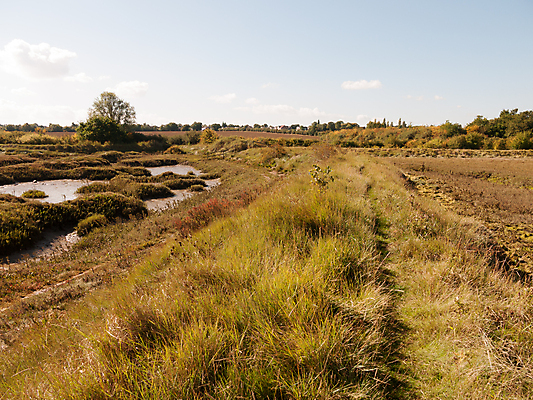 포토 JPG 해외이미지 식물 구름 공원 바다 여행 백그라운드 밭 자연 조류 하늘 풍경 사람없음 야외 가로 초록색 물 여름 햇빛 평화 일출 일몰 젖음 가을 시골 만 습지 땅 생태계 내추럴 해일 해외202004 해외포토 자연요소 동물 계절 공공시설 컬러 컨셉 농업 태양 노을 자연재해 파일형식 이미지허브