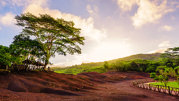 포토 JPG 해외이미지 나무 공원 지구 모래 분홍색 섬 여행 백그라운드 오렌지 아프리카 자연 파노라마 풍경 사람없음 빨간색 초록색 파란색 컬러풀 노란색 흙 숲 그늘 모래언덕 언덕 시력 화산 용암 내추럴 7 모리셔스 이국적 재 지질학 현상 효과 해외202004 해외포토 식물 공공시설 교육 나라 컬러 과일 산 촬영기법 숫자 생태계 파일형식 이미지허브