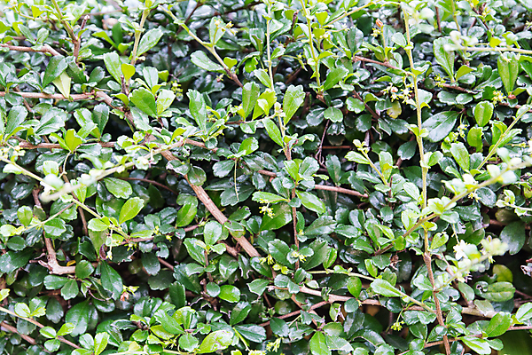 포토 JPG 해외이미지 식물 라이프스타일 외관 공원 길 백그라운드 패턴 밭 곡선 골프 건축양식 자국 자연 성공 주택 풍경 잔디 사람없음 야외 초록색 우주 환경 축구 산책 성장 바위 신선 재산 고급 큼 땅 질감 타운 내추럴 진짜 해외202004 해외포토 공공시설 건축 선 컬러 컨셉 무늬 농업 휴식 건물 생활 금융 구기 돌_바위 도시 크기 생태계 파일형식 이미지허브