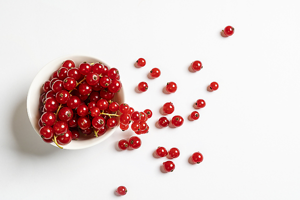 포토 JPG 해외이미지 계절 열매 음식 백그라운드 잎 다이어트 과일 재료 자연 탁자 디저트 건강 사람없음 목재 빨간색 초록색 여름 검은색 식사 흰색 신선 그룹 사발 달콤 맛 아침식사 먹기 유기농 블루베리 날것 산딸기 내추럴 건포도 고립 숙성 채식주의자 해외202004 해외포토 나무 식물 웰빙 컬러 가구 컨셉 모션 포도 사기그릇 생태계 채식 건과일 파일형식 이미지허브