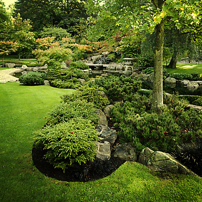 포토 JPG 해외이미지 나무 디자인 공원 잎 자연 영국 잉글랜드 사람없음 물 폭포 바위 등불 연못 런던 해외202004 해외포토 자연요소 식물 공공시설 유럽 조명 돌_바위 생태계 파일형식 이미지허브