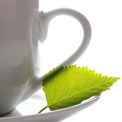 포토 JPG 해외이미지 라이프스타일 커피 음료 선 음식 백그라운드 컨셉 잎 자연 건강 사람없음 컵 초록색 중국 침묵 공백 카페 머그컵 흰색 신선 뜨거움 냄비 민트 허브 컵받침 전쟁 고립 정물화 캐모마일 카피스페이스 해외202004 해외포토 식물 식기 꽃 아시아 컬러 생활 상점 소리 솥 받침대 그림 생태계 파일형식 이미지허브