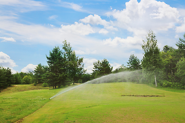포토 JPG 해외이미지 잔디 사람없음 물 젖음 성장 수리 뿌리기 물주기 조경 분무기 스프링쿨러 자동 해외202004 해외포토 자연요소 식물 모션 파일형식 이미지허브