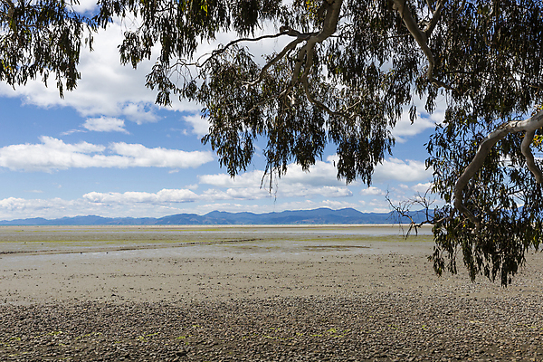 포토 JPG 해외이미지 공원 모래 파도 바다 백그라운드 새로움 산 풍경 사람없음 물 파란색 모래사장 평화 침묵 고요 젖음 언덕 질감 뉴질랜드 내추럴 잔물결 전국 해외202004 해외포토 자연요소 공공시설 물결 컬러 컨셉 소리 오세아니아 파일형식 이미지허브