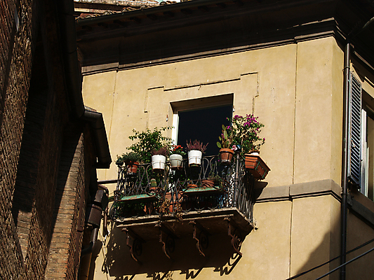 포토 JPG 해외이미지 여행 곡선 건축양식 유리 지붕 벽돌 거리 매달리기 그림자 풍경 사람없음 건물 장식 빛 이탈리아 발코니 바위 등불 램프 도시 중세 모서리 타일 통로 아치 대문 좁은 포도밭 장면 타운 르네상스 시에나 옛날 토스카나 해외202004 해외포토 건축물 건축 유럽 선 밭 모션 재질 조명 문 돌_바위 역사 파일형식 이미지허브